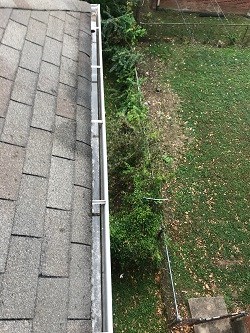 Other: Clean Pro Gutter Cleaning Fairfax